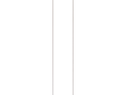2965