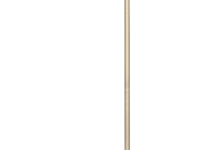 4068